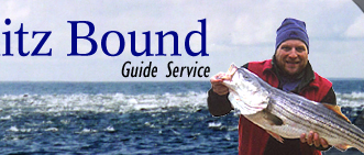 Nautical Wheeler Guide Service