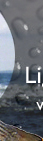 Fly Fishing and Light Tackle Charters with Captain Jason Dapra